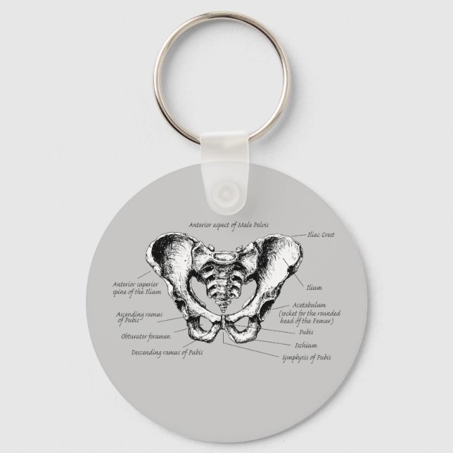 Male Pelvis Details Keychain (Front)