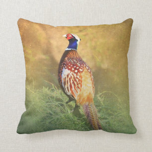 Male Pheasant Cushion