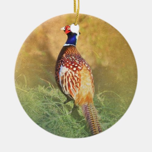 Male Pheasant Ornament