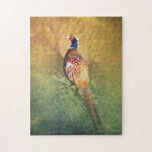 Male Pheasant Puzzle
