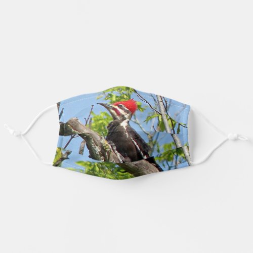 Male Pileated Woodpecker Adult Cloth Face Mask