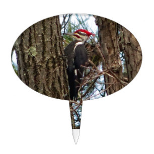 Male Pileated Woodpecker Cake Topper