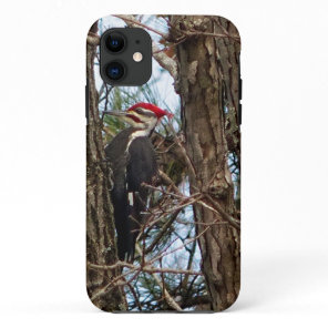 Male Pileated Woodpecker iPhone 11 Case