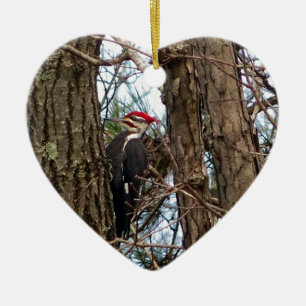 Male Pileated Woodpecker Ceramic Ornament
