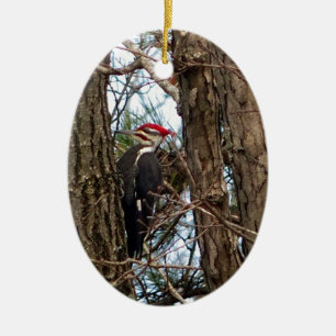Male Pileated Woodpecker Ceramic Ornament