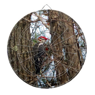 Male Pileated Woodpecker Dart Board