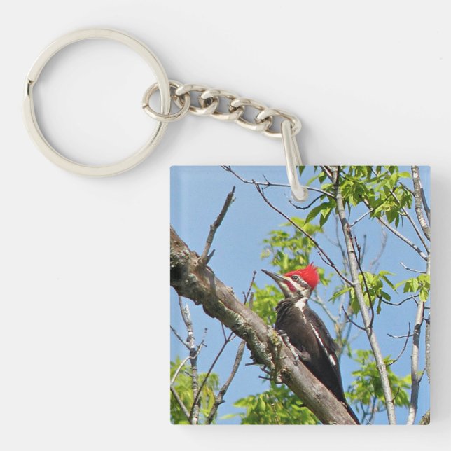 Male Pileated Woodpecker Keychain (Front)