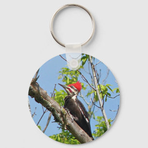 Male Pileated Woodpecker Keychain