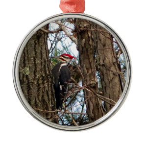 Male Pileated Woodpecker Metal Ornament