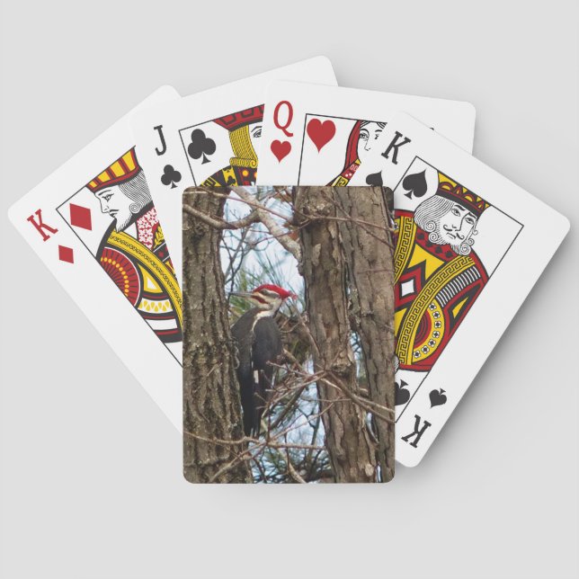 Male Pileated Woodpecker Poker Cards (Back)