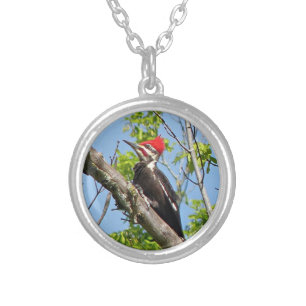 Male Pileated Woodpecker Silver Plated Necklace