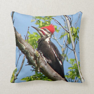 Male Pileated Woodpecker Throw Pillow