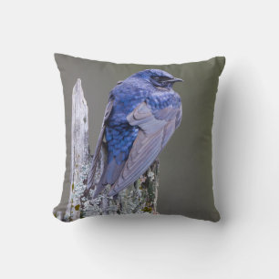 Male Purple Martin nest over Lake Sammamish Throw Pillow
