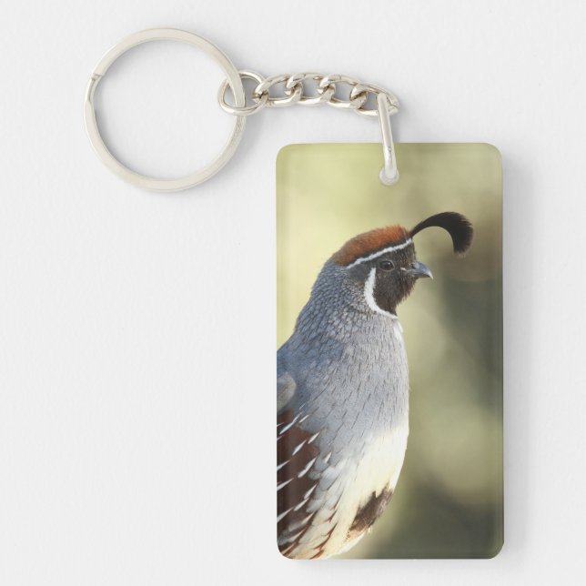 Male Quail Keychain (Front)