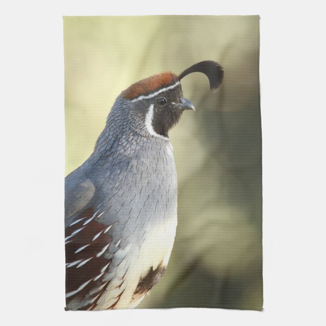 Male Quail Kitchen Towel (Vertical)
