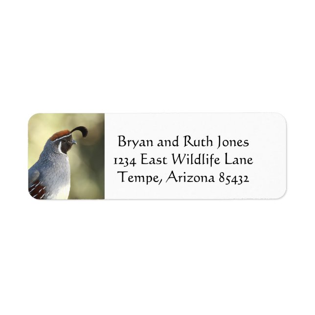 Male Quail Label (Front)