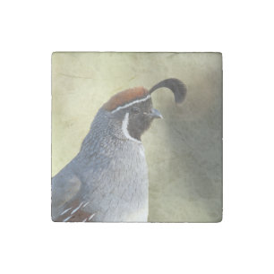 Male Quail Portrait Stone Magnet