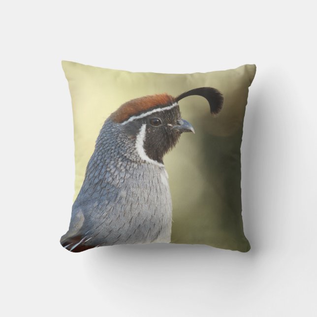 Male Quail Portrait Throw Pillow (Front)