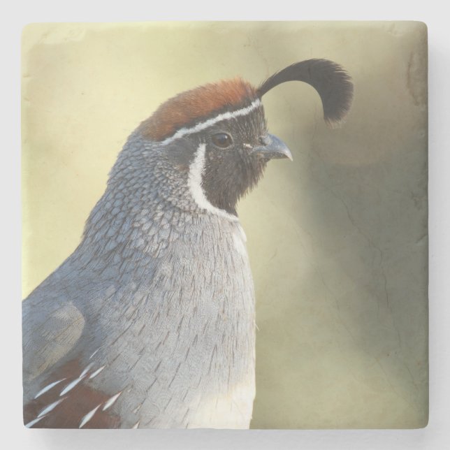 Male Quail Stone Coaster (Front)