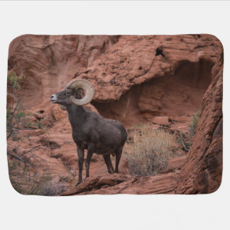 Male Ram photo on baby blanket