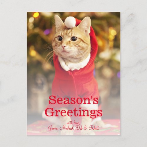 Male red cat wearing santa costume holiday postcard