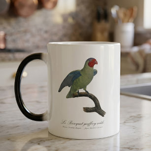 Male Red-Cheeked Parrot, Geoffroyus geoffroyi Color Morph Mug