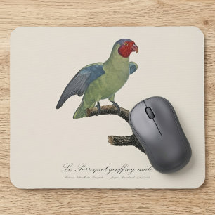 Male Red-Cheeked Parrot, Geoffroyus geoffroyi Mouse Pad