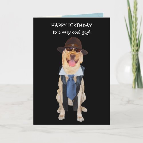 Male Relative Funny Dogs Birthday Card
