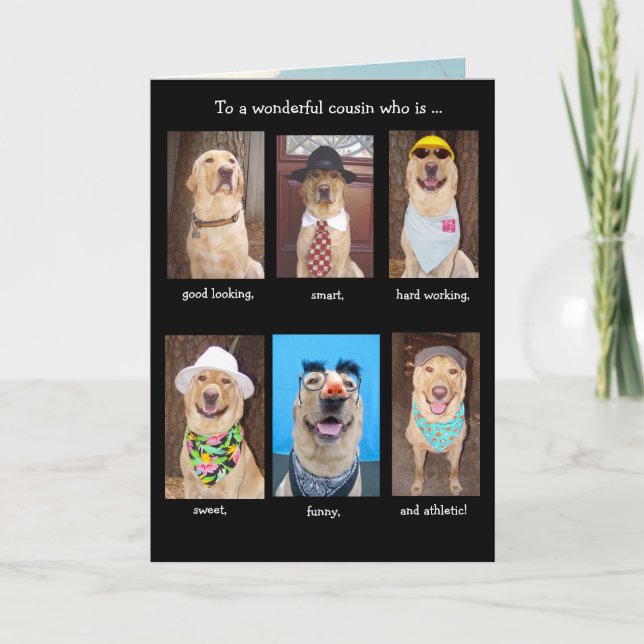 Male Relative Funny Dogs Birthday Card (Front)