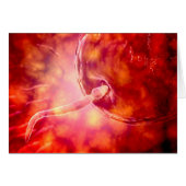 Male Reproductive Sperm Entering The Egg (Front Horizontal)