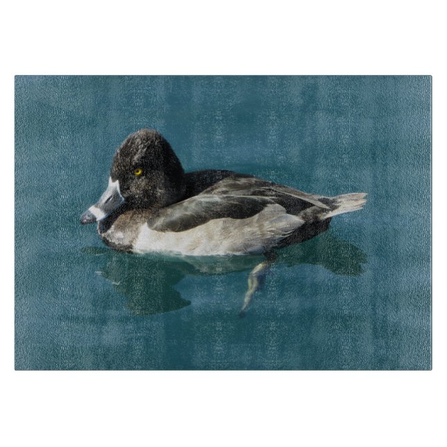 Male Ring-necked Duck Sits on Blue Water Photo Cutting Board (Front)