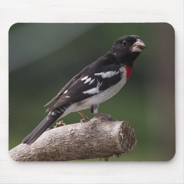 Male Rose-Breasted Grosbeak Mouse Pad (Front)