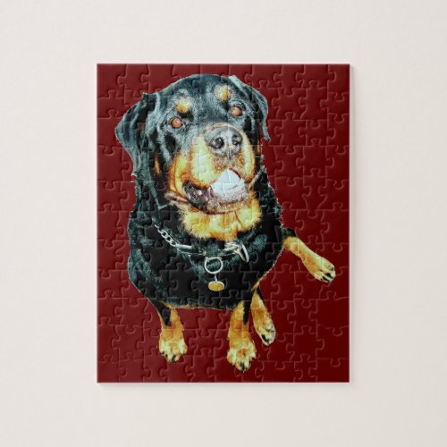 Male Rottweiler Photo Portrait Jigsaw Puzzle