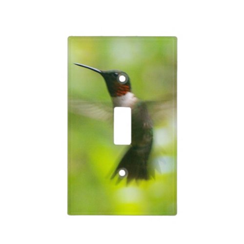 Male Ruby Throat Hummingbird Light Switch Cover