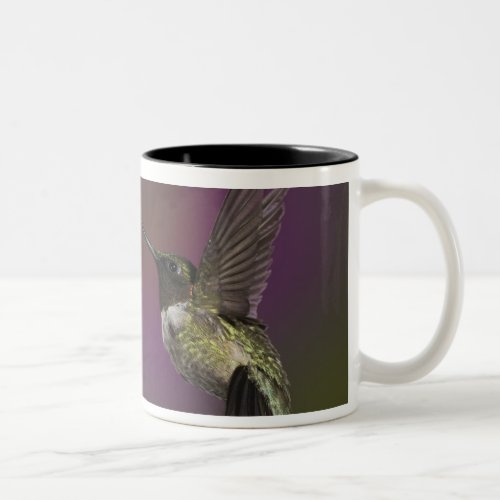 Male Ruby throated Hummingbird Archilochus 2 Two_Tone Coffee Mug