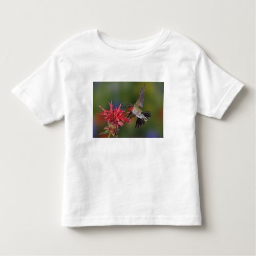 Male Ruby_throated Hummingbird feeding on Toddler T_shirt