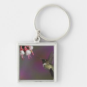 Male Ruby throated Hummingbird Keychain