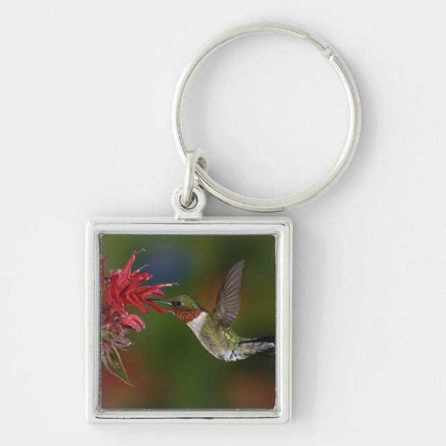 Male Ruby-throated Hummingbird Keychain (Front)