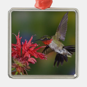 Male Ruby-throated Hummingbird Metal Ornament