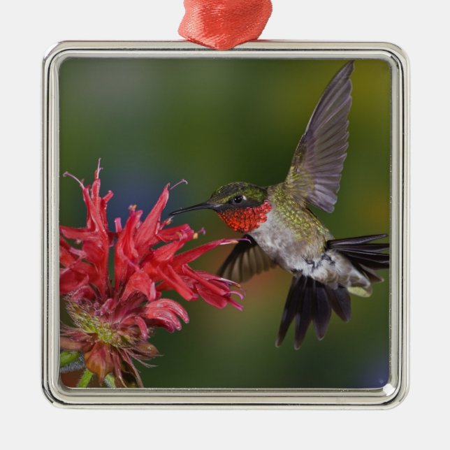 Male Ruby-throated Hummingbird Metal Ornament (Front)