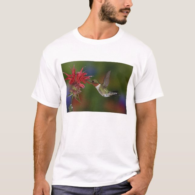 Male Ruby-throated Hummingbird T-Shirt (Front)