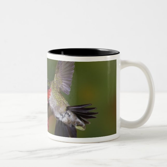 Male Ruby-throated Hummingbird Two-Tone Coffee Mug (Right)