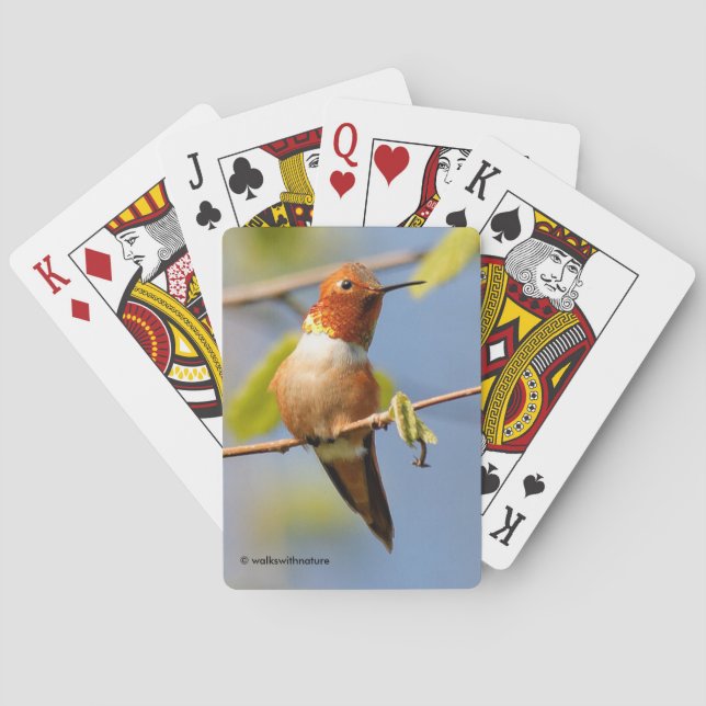 Male Rufous Hummingbird in the Summer Sun Poker Cards (Back)