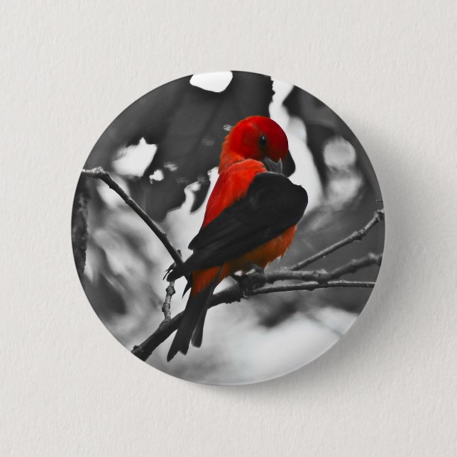 Male Scarlet Tanager Button (Front)
