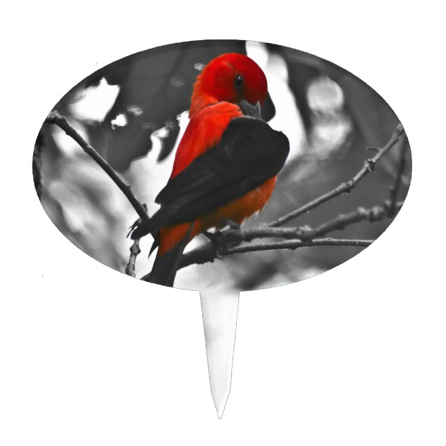 Male Scarlet Tanager Cake Topper (Front)