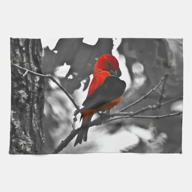 Male Scarlet Tanager Kitchen Towel (Horizontal)