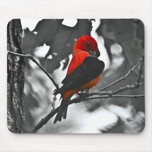 Male Scarlet Tanager Mouse Pad (Front)