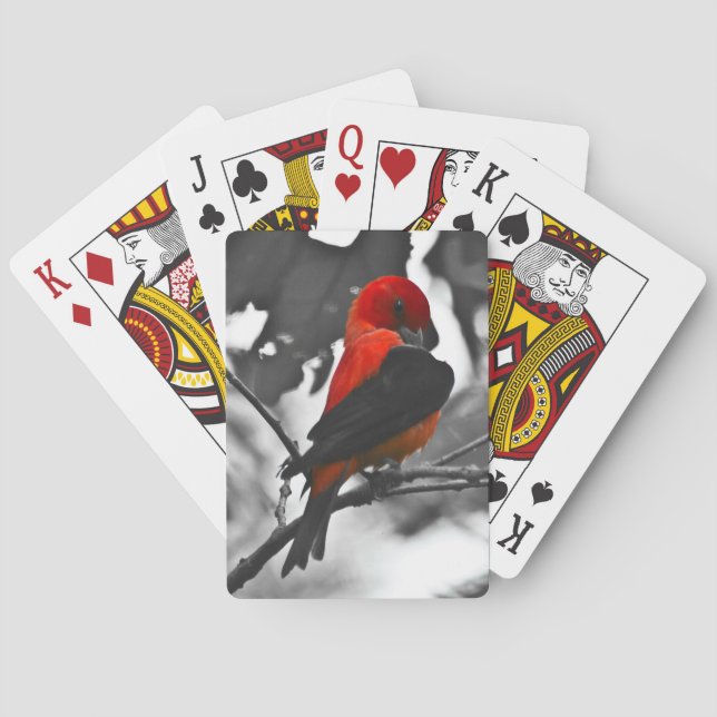 Male Scarlet Tanager Poker Cards (Back)