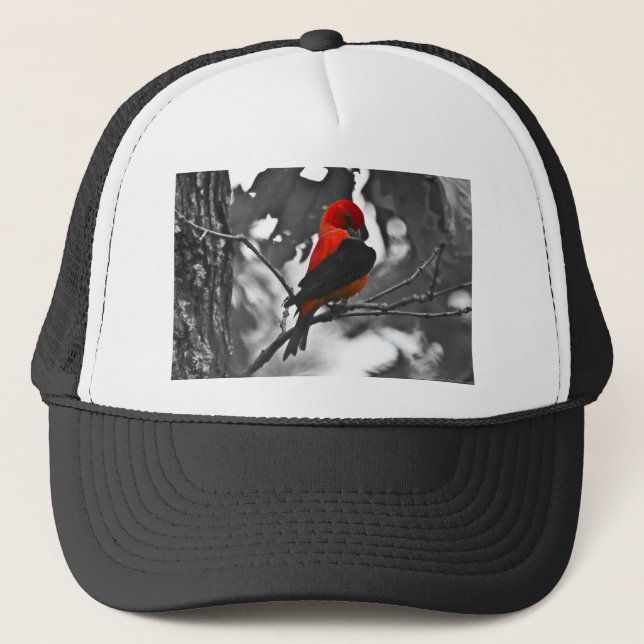 Male Scarlet Tanager Trucker Hat (Front)