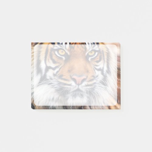 Male Siberian Tiger Paint Photograph Post_it Notes